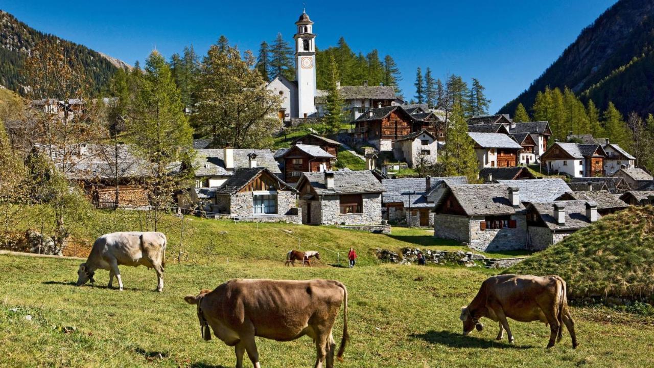 Apartmán Casa Sonnenberg Bosco Gurin Exteriér fotografie